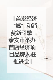 首发经济“燃”动消费新引擎 泰安市举办首店经济项目品牌入驻推进会