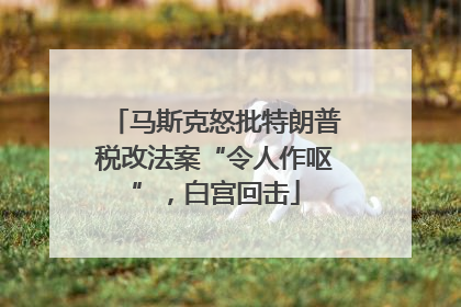 马斯克怒批特朗普税改法案“令人作呕”，白宫回击
