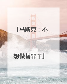 马斯克：不想做替罪羊