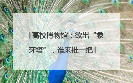 高校博物馆：欲出“象牙塔”，谁来推一把