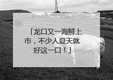 龙口又一海鲜上市，不少人夏天就好这一口！