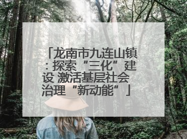 龙南市九连山镇：探索“三化”建设 激活基层社会治理“新动能”