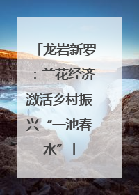 龙岩新罗：兰花经济激活乡村振兴“一池春水”