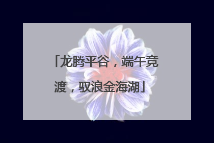 龙腾平谷，端午竞渡，驭浪金海湖