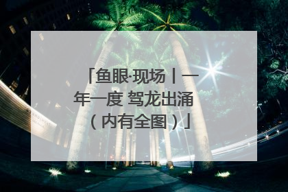 鱼眼·现场丨一年一度 驾龙出涌（内有全图）