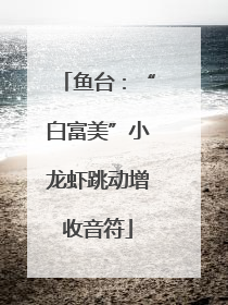 鱼台：“白富美”小龙虾跳动增收音符