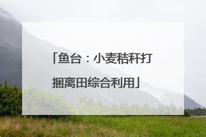 鱼台：小麦秸秆打捆离田综合利用