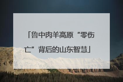 鲁中肉羊高原“零伤亡”背后的山东智慧