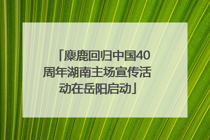 麋鹿回归中国40周年湖南主场宣传活动在岳阳启动