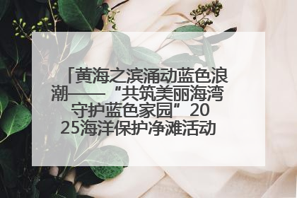 黄海之滨涌动蓝色浪潮——“共筑美丽海湾 守护蓝色家园”2025海洋保护净滩活动暨“美丽江苏—江河湖海青蓝行”海洋篇在连云港举行