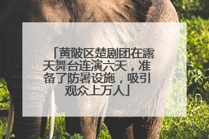 黄陂区楚剧团在露天舞台连演六天，准备了防暑设施，吸引观众上万人