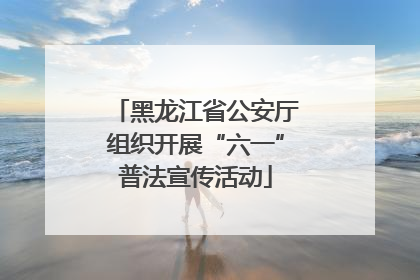 黑龙江省公安厅组织开展“六一”普法宣传活动