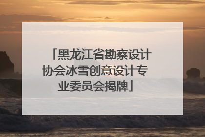 黑龙江省勘察设计协会冰雪创意设计专业委员会揭牌