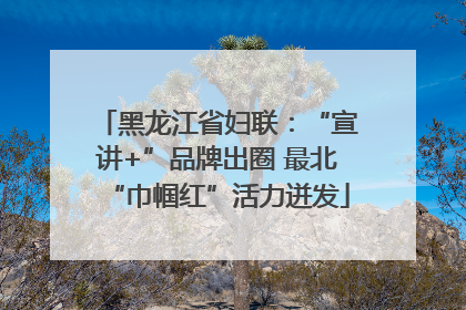 黑龙江省妇联：“宣讲+”品牌出圈 最北“巾帼红”活力迸发