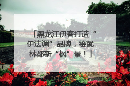 黑龙江伊春打造“伊法调”品牌，绘就林都新“枫”景！