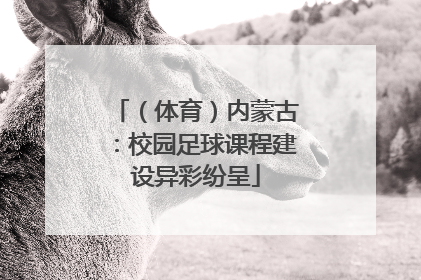 （体育）内蒙古：校园足球课程建设异彩纷呈