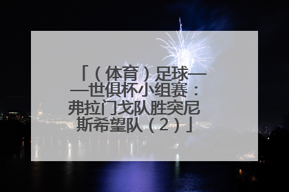 （体育）足球——世俱杯小组赛：弗拉门戈队胜突尼斯希望队（2）