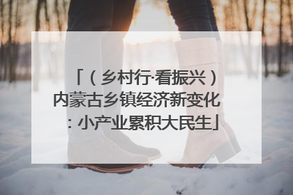 （乡村行·看振兴）内蒙古乡镇经济新变化：小产业累积大民生