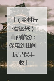 （乡村行·看振兴）山西临汾：保电到田间 抗旱保丰收