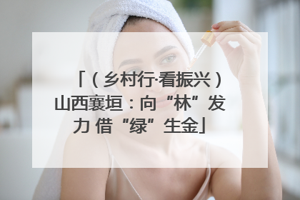 （乡村行·看振兴）山西襄垣：向“林”发力 借“绿”生金