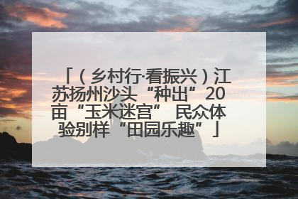 （乡村行·看振兴）江苏扬州沙头“种出”20亩“玉米迷宫” 民众体验别样“田园乐趣”