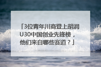 3位青年川商登上胡润U30中国创业先锋榜，他们来自哪些赛道？