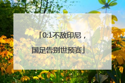 0:1不敌印尼，国足告别世预赛