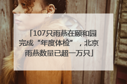 107只雨燕在颐和园完成“年度体检”，北京雨燕数量已超一万只