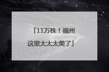 11万株！福州这里太太太美了