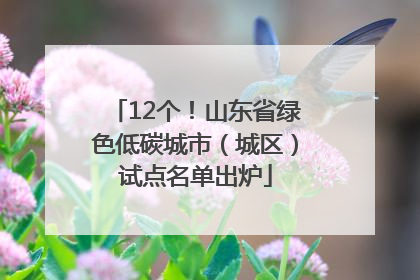 12个！山东省绿色低碳城市（城区）试点名单出炉