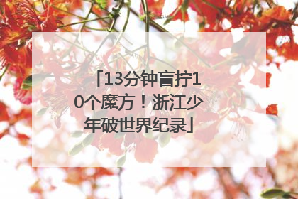 13分钟盲拧10个魔方！浙江少年破世界纪录