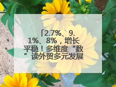 2.7%、9.1%、8%，增长平稳！多维度“数”读外贸多元发展、综合优势明显