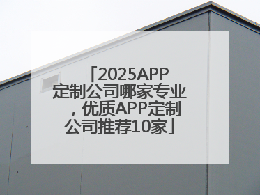 2025APP定制公司哪家专业，优质APP定制公司推荐10家