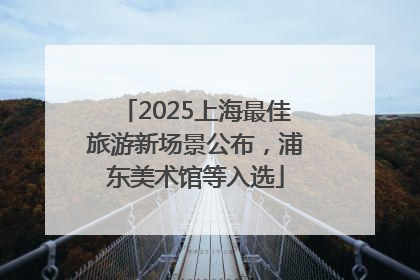 2025上海最佳旅游新场景公布，浦东美术馆等入选