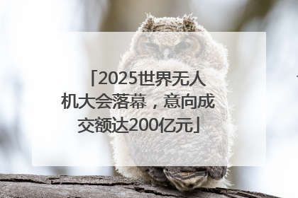 2025世界无人机大会落幕，意向成交额达200亿元