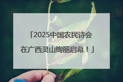 2025中国农民诗会在广西灵山绚丽启幕！