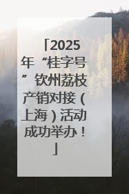 2025年“桂字号”钦州荔枝产销对接（上海）活动成功举办！