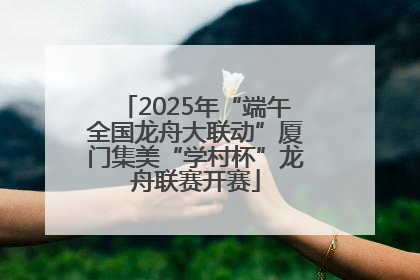 2025年“端午全国龙舟大联动”厦门集美“学村杯”龙舟联赛开赛