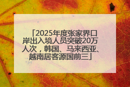 2025年度张家界口岸出入境人员突破20万人次，韩国、马来西亚、越南居客源国前三