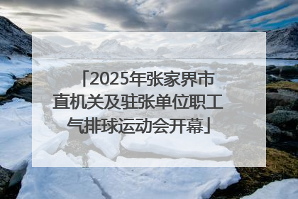 2025年张家界市直机关及驻张单位职工气排球运动会开幕
