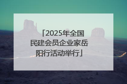 2025年全国民建会员企业家岳阳行活动举行