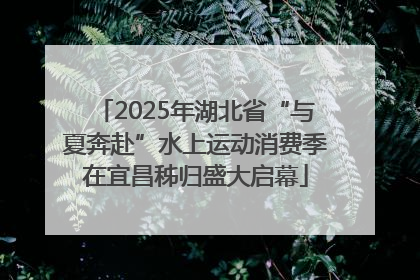 2025年湖北省“与夏奔赴”水上运动消费季在宜昌秭归盛大启幕