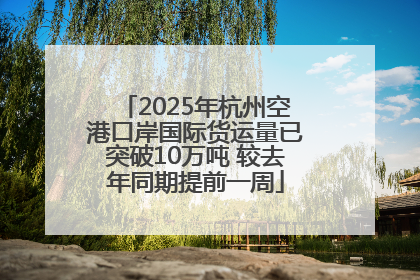 2025年杭州空港口岸国际货运量已突破10万吨 较去年同期提前一周