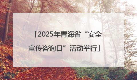 2025年青海省“安全宣传咨询日”活动举行
