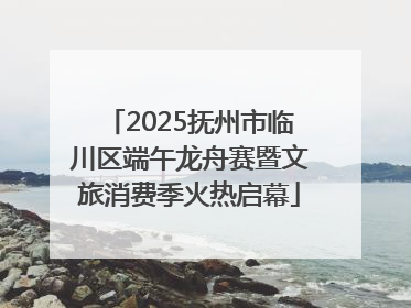 2025抚州市临川区端午龙舟赛暨文旅消费季火热启幕