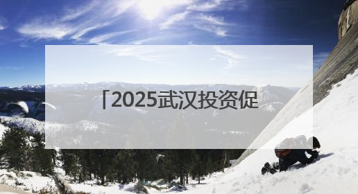 2025武汉投资促进大会开幕 现场签约金额984.9亿元