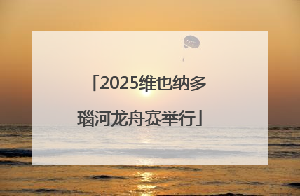 2025维也纳多瑙河龙舟赛举行