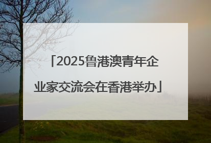 2025鲁港澳青年企业家交流会在香港举办