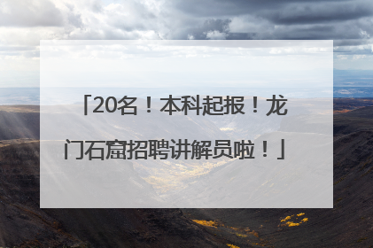 20名！本科起报！龙门石窟招聘讲解员啦！