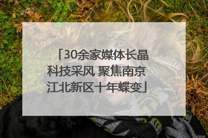 30余家媒体长晶科技采风 聚焦南京江北新区十年蝶变